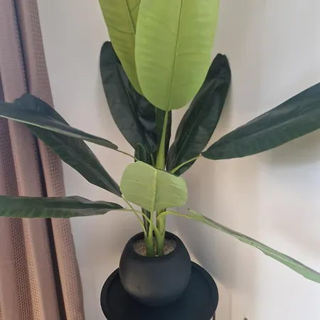 Apartamento Modern Flat In City *