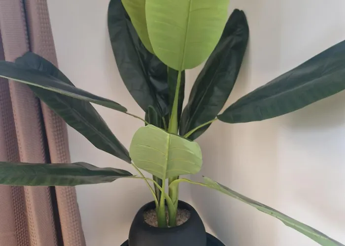 公寓 Modern Flat In City *